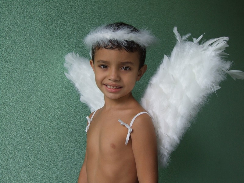 Asa Anjo Fantasia Nossa Senhora do Ó - Asa de Anjo para Fantasia