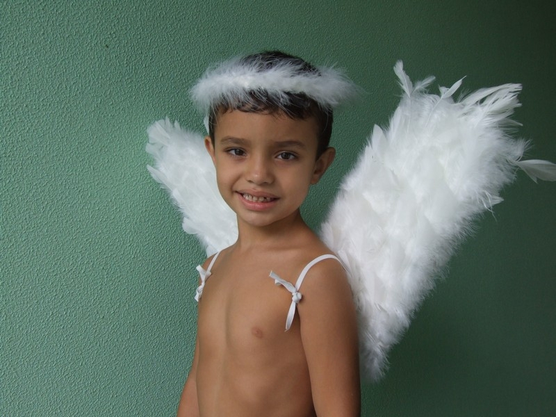 Asa de Anjo para Fantasia Preço Porto Alegre - Asa de Anjo Preta Fantasia