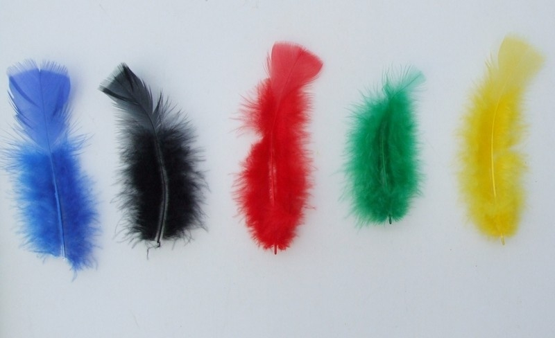Pacotes de Penas Coloridas para Artesanato Comprar Sergipe - Boá de Penas
