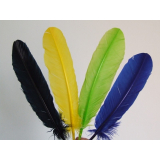 pacotes de penas coloridas para artesanato Santa Efigênia