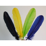 plumas para carnaval Jardim Santa Helena