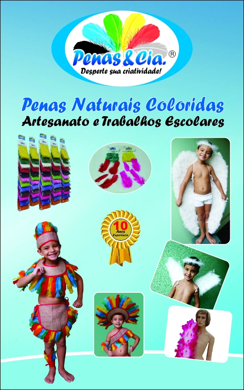 Venda de Penas para Festas Vila Mariana - Penas para Fantasias de Carnaval